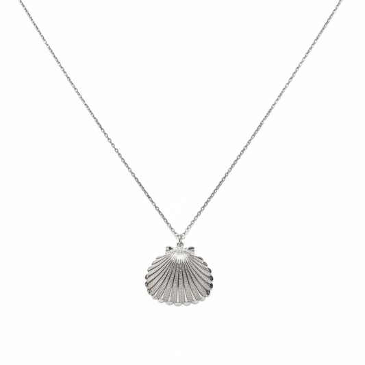 Collana conchiglia sfondo bianco
